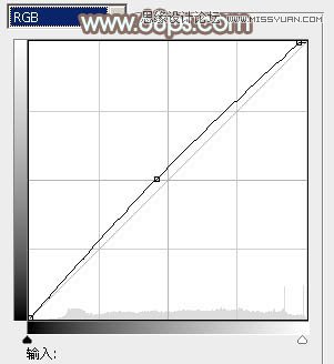 Photoshop调出果子美女照片淡淡的黄色调