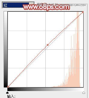 Photoshop调出美女照片柔柔的淡黄色调