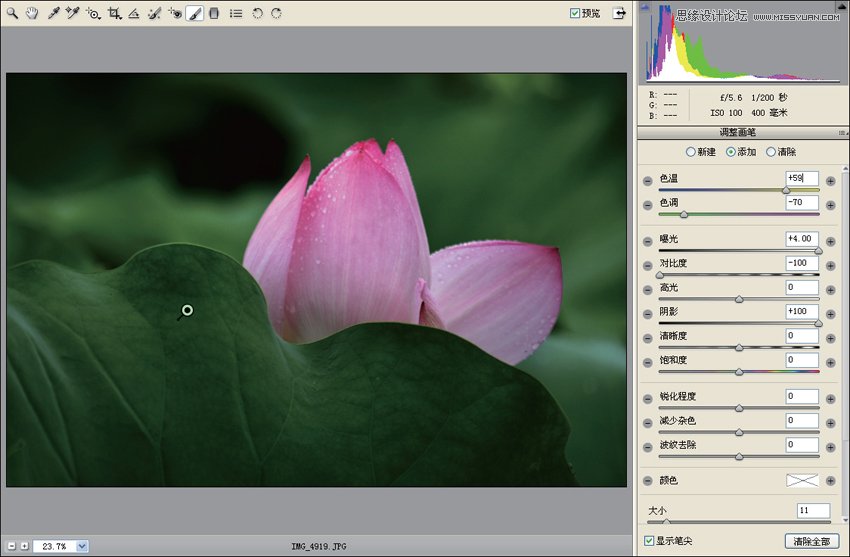 Photoshop简单把荷花照片暗部区域调亮