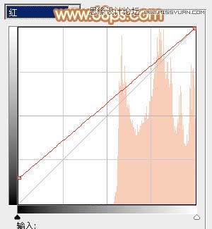 Photoshop调出林中美女照片朦胧日系效果