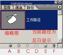 Photoshop教程：教您轻松掌握PS钢笔工具