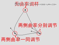 Photoshop教程：教您轻松掌握PS钢笔工具