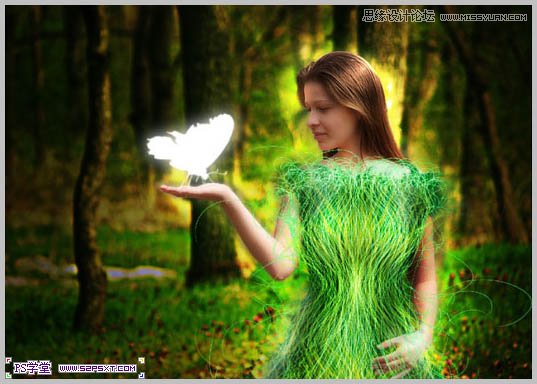Photoshop合成在和蝴蝶交流的美女仙子