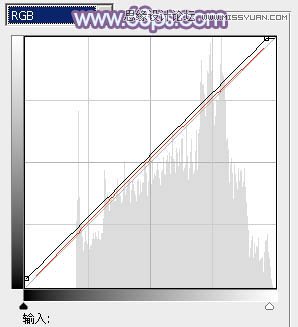 Photoshop使用通道替换给调出美女梦幻紫色调