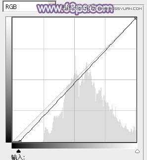 Photoshop使用通道替换给调出美女梦幻紫色调