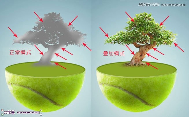 Photoshop合成在悬浮在空中的绿色大树