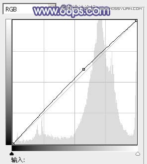 Photoshop给美女照片添加紫色梦幻效果