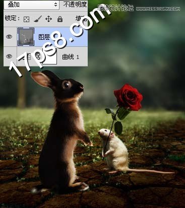 Photoshop合成情人节正在求爱的老鼠