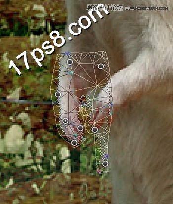 Photoshop合成情人节正在求爱的老鼠