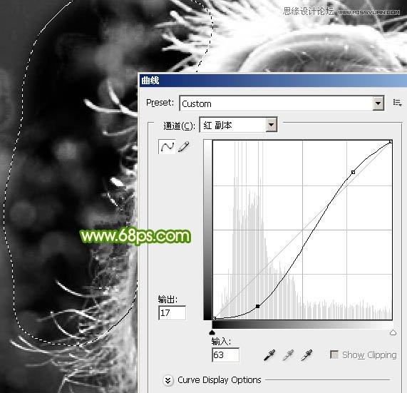 Photoshop使用通道抠出复杂的人物发丝