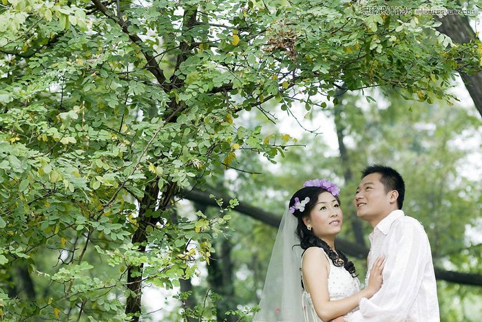 Photoshop调出婚片照片秋季黄色调
