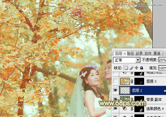 Photoshop调出婚片照片秋季黄色调