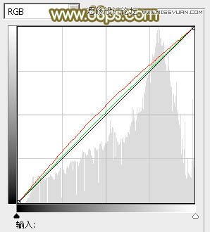 Photoshop调出婚片照片秋季黄色调
