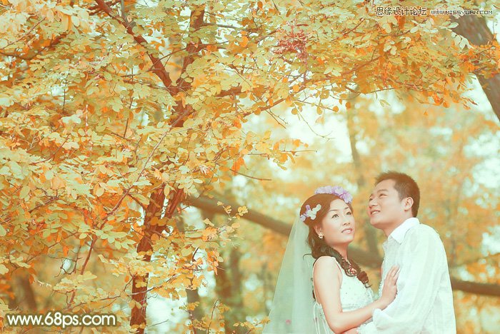 Photoshop调出婚片照片秋季黄色调