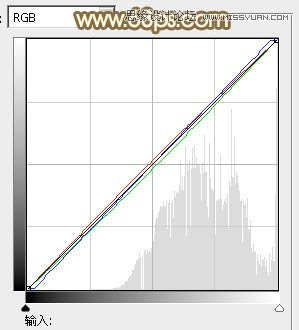 Photoshop调出草地上美女朦胧的淡黄色调