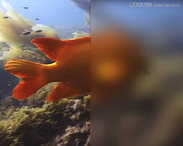 Photoshop详细解析高斯模糊的算法