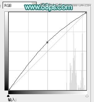 Photoshop调出人像照片自然淡黄肤色效果