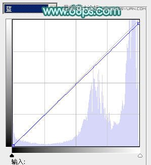 Photoshop调出人像照片自然淡黄肤色效果