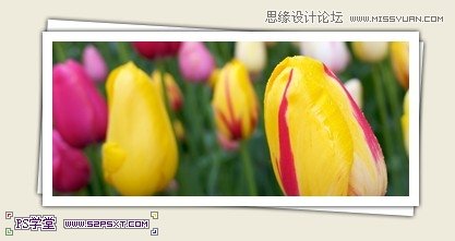 Photoshop设计国外木纹风格的网页模板