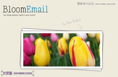 Photoshop设计国外木纹风格的网页模板