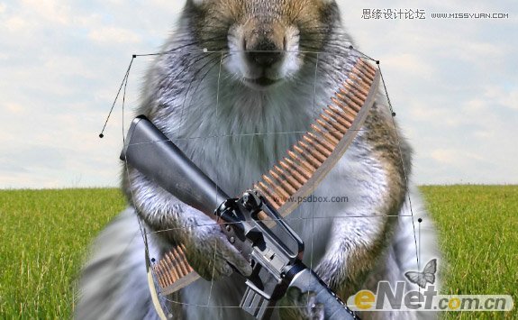 Photoshop打造草原上的超酷的松鼠战士