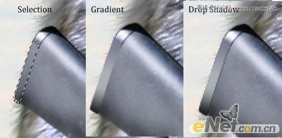 Photoshop打造草原上的超酷的松鼠战士