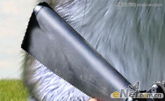 Photoshop打造草原上的超酷的松鼠战士