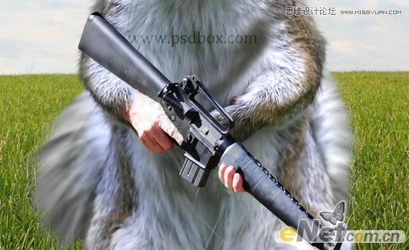 Photoshop打造草原上的超酷的松鼠战士