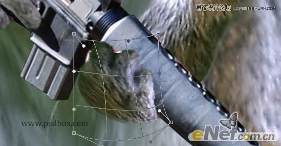 Photoshop打造草原上的超酷的松鼠战士