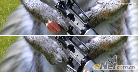 Photoshop打造草原上的超酷的松鼠战士