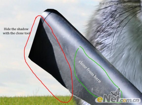 Photoshop打造草原上的超酷的松鼠战士