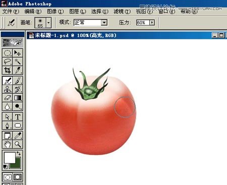 Photoshop鼠绘逼真的西红柿教程