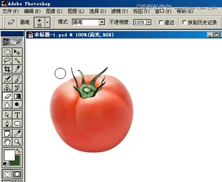 Photoshop鼠绘逼真的西红柿教程