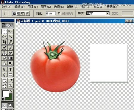 Photoshop鼠绘逼真的西红柿教程