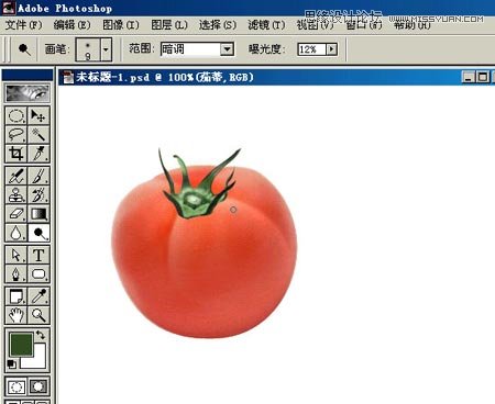 Photoshop鼠绘逼真的西红柿教程
