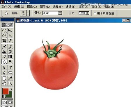 Photoshop鼠绘逼真的西红柿教程