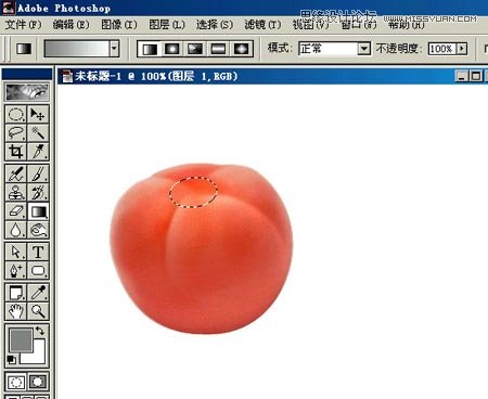 Photoshop鼠绘逼真的西红柿教程