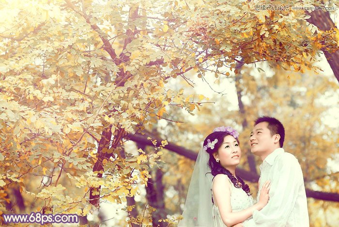 Photoshop调出林下婚片秋季金黄色调