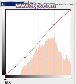 Photoshop调出林下婚片秋季金黄色调