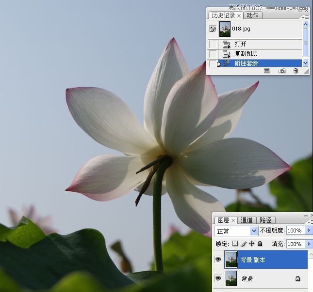 Photoshop合成色彩艳丽的荷花图