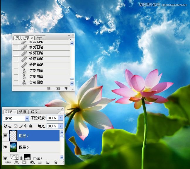 Photoshop合成色彩艳丽的荷花图