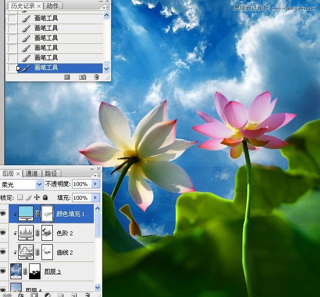Photoshop合成色彩艳丽的荷花图