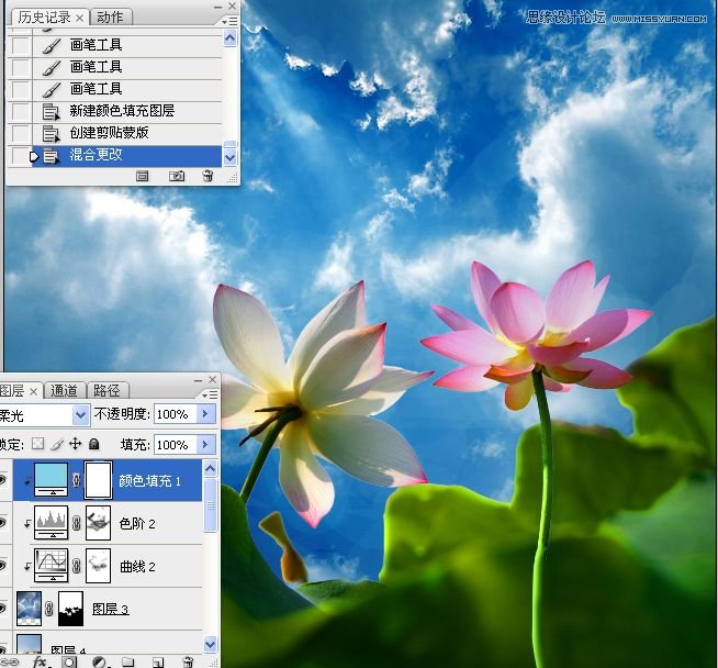 Photoshop合成色彩艳丽的荷花图