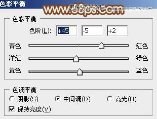 Photoshop调出草地美女怀旧的黄色调