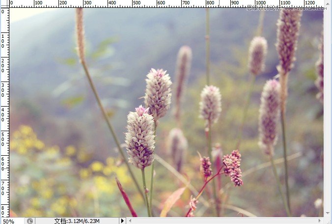 Photoshop调出植物图片日系小清新效果