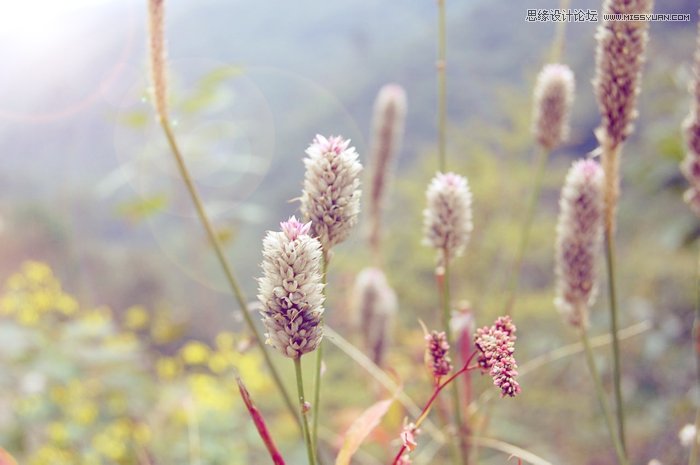 Photoshop调出植物图片日系小清新效果