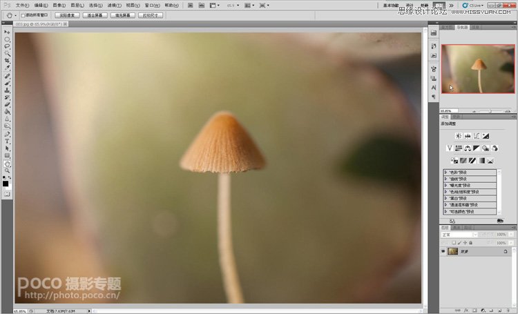 Photoshop使用叠加法制作唯美的摄影背景效果