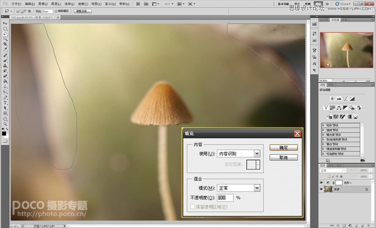 Photoshop使用叠加法制作唯美的摄影背景效果