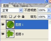 Photoshop制作在绿叶上滚动的水珠