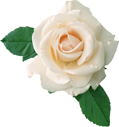 Photoshop制作在绿叶上滚动的水珠